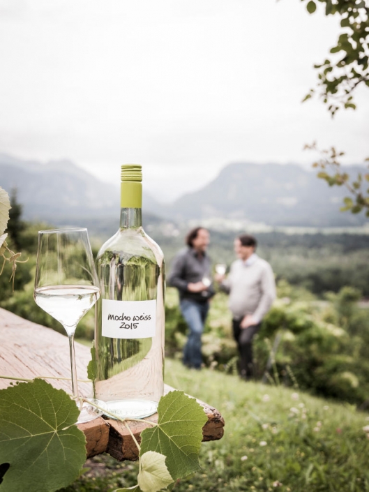 Wein trifft See